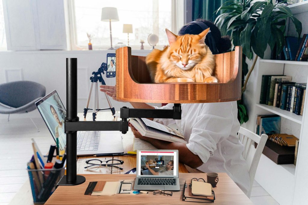 loud breathing in cats
