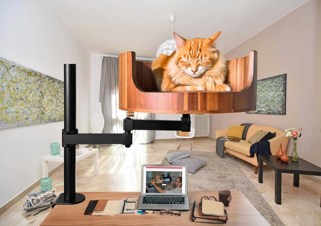 register my cat as an esa