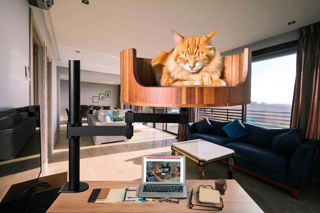 retro cat beds