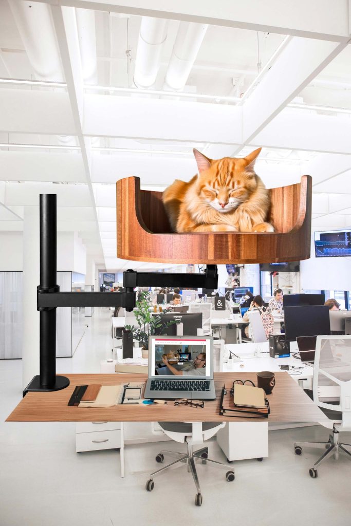 screens for cats